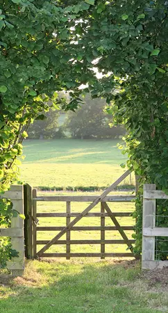 Alexsar Art Tuinschilderij weide hek 130x70cm - afbeelding 2