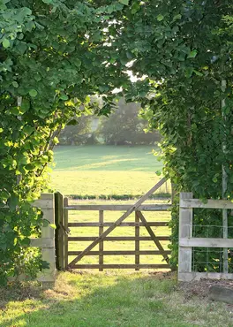Alexsar Art Tuinschilderij weide hek