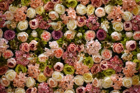 Alexsar Art Tuinschilderij witte en roze rozen 130x70cm