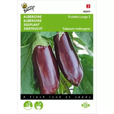 Aubergine Violetta Lunga 2