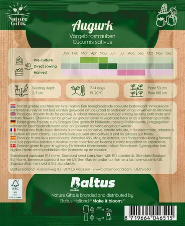 Augurk inmaak 80st - afbeelding 2