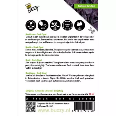 Basilicum Rode - Dark Opal - afbeelding 2