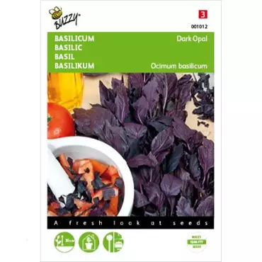 Basilicum Rode - Dark Opal - afbeelding 1