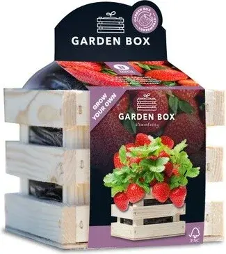 Baza Gardenbox kweekset reuze Aardbei 12x11x10cm