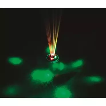 Bestway Zwembadlamp led fontein - afbeelding 5