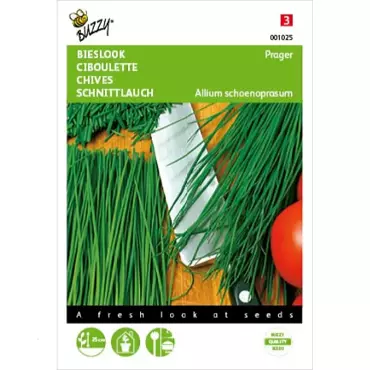Bieslook Fijne