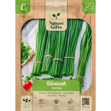 Bieslook fijnbladig per 1m2 - afbeelding 1