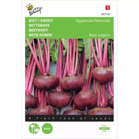 Biet/Kroot Egyptische Platronde - afbeelding 1