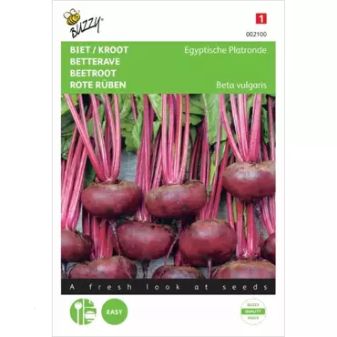 Biet/Kroot Egyptische Platronde