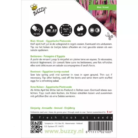 Biet/Kroot Egyptische Platronde - afbeelding 2