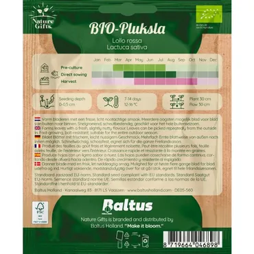 Bio pluksla lollo rossa 100st - afbeelding 2