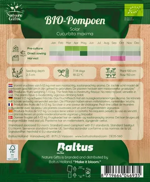 Bio pompoen solor 5st - afbeelding 2