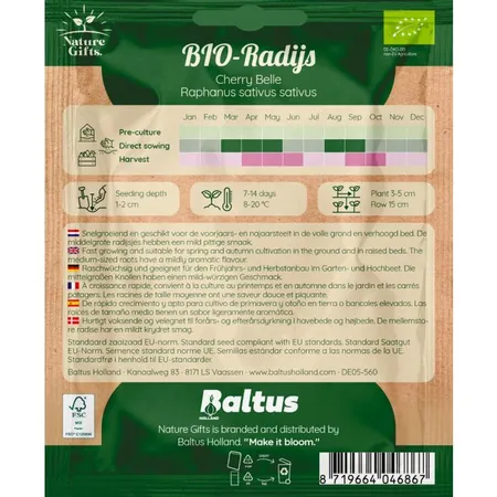 Bio radijs cherry belle per 8m - afbeelding 2