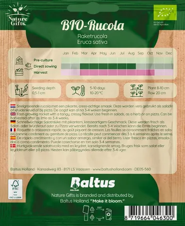 Bio rucola salatrauke per 20m - afbeelding 2