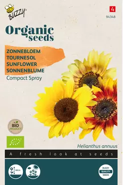 Biologische Helianthus, Zonnebloem Compact Spray