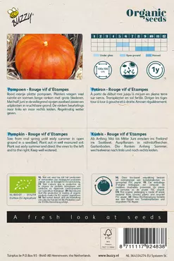 Biologische Pompoen Rode van Etampes - afbeelding 2