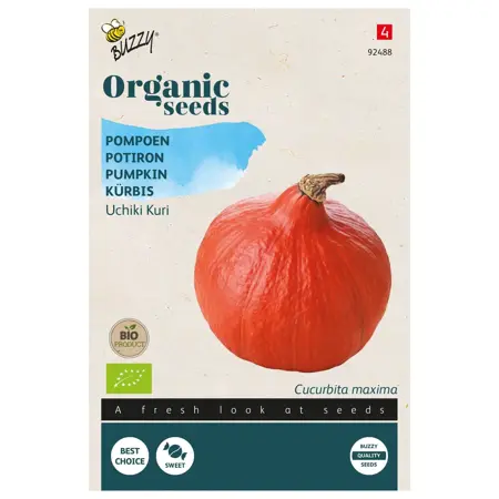 Biologische Pompoen Uchiki Kuri - afbeelding 1