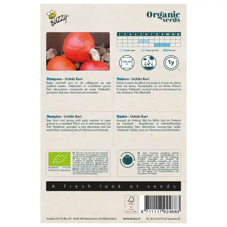Biologische Pompoen Uchiki Kuri - afbeelding 2