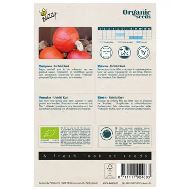 Biologische Pompoen Uchiki Kuri - afbeelding 2