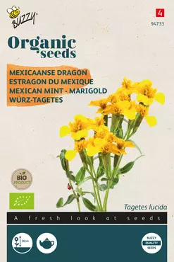 Biologische Tagetes Lucida, Mexicaanse dragon