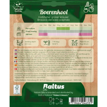Boerenkool halfhoge groene gekruid 175st - afbeelding 2