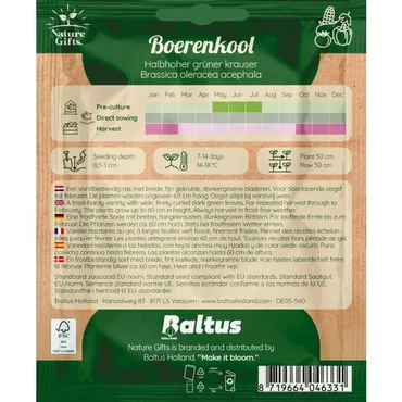 Boerenkool halfhoge groene gekruid 175st - afbeelding 2