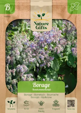 Borage komkommerkruid 50st - afbeelding 1