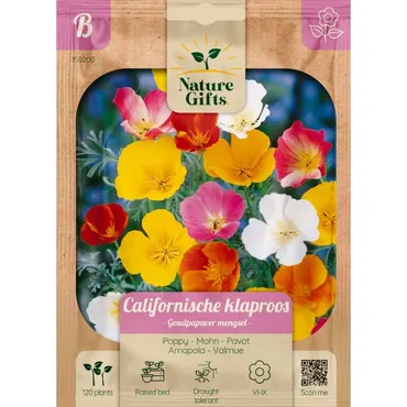Californische klaproos goudpapaver mengsel 120st - afbeelding 3