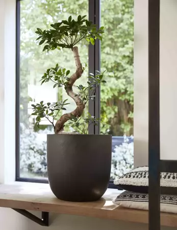 Capi Pot bol 43x41 cm - zwart - afbeelding 2