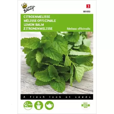 Citroenmelisse