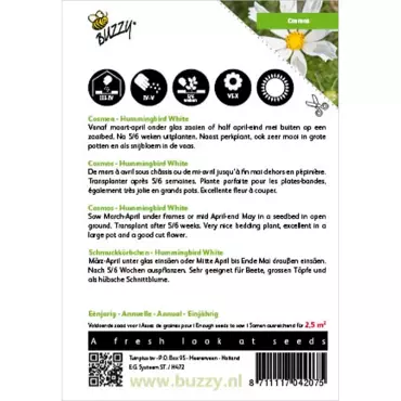 Cosmos, Cosmea Hummingbird White - afbeelding 2