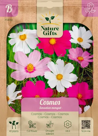 Cosmos sensation mengsel 40st - afbeelding 1