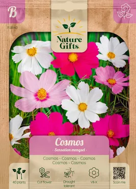 Cosmos sensation mengsel 40st - afbeelding 1