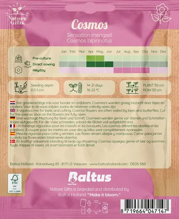 Cosmos sensation mengsel 40st - afbeelding 2