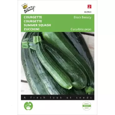 Courgette Black Beauty - Verte De Milan