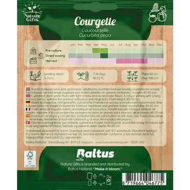 Courgette coucourzelle 10st - afbeelding 2