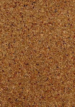 Deli nature Premium parkiet 1kg - afbeelding 2