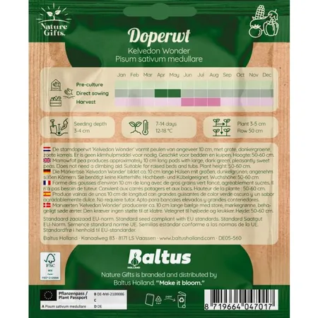 Doperwt kelvedon wonder per 9m - afbeelding 2