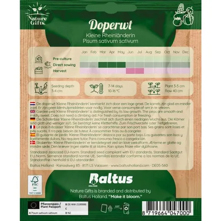 Doperwt kleine rijnlander per 7m - afbeelding 2