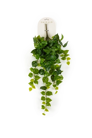 Drakenklimop hangend l25cm groen