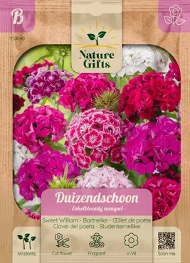 Duizendschoon enkelbloemig mengsel 60st - afbeelding 1