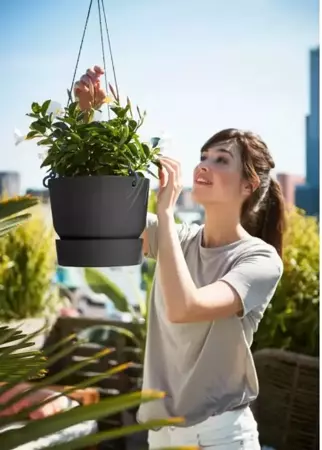 Elho Hangschaal Greenville Ø24cm - Black - afbeelding 3