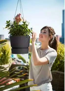 Elho Hangschaal Greenville Ø24cm - Black - afbeelding 3