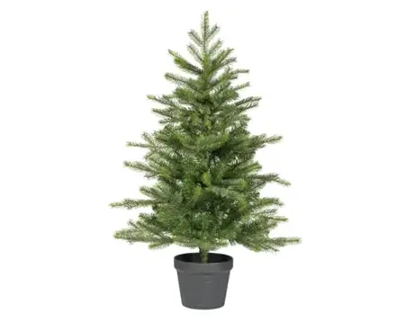 Everlands grandis miniboom pot h90cm groen - afbeelding 1