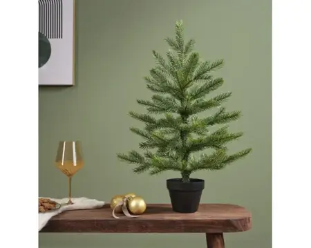 Everlands grandis miniboom pot h90cm groen - afbeelding 3