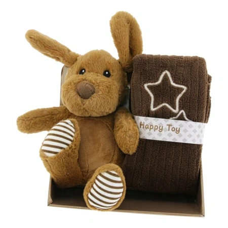 Giftbox finn 26cm/90x75cm hond