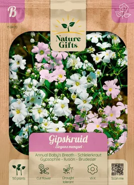 Gipskruid elegans mengsel 60st - afbeelding 1