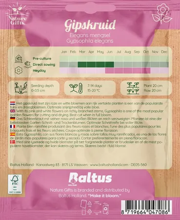 Gipskruid elegans mengsel 60st - afbeelding 2