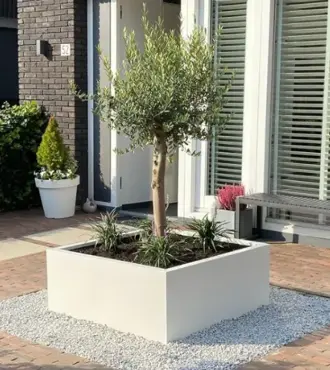 GLM plantenbak Lyon zonder bodem Wit 75x75x40cm