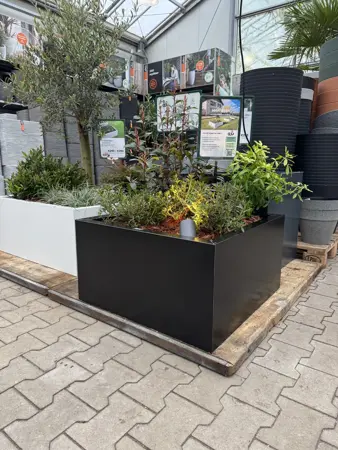 GLM plantenbak Lyon zonder bodem Zwart 75x75x40cm - afbeelding 2